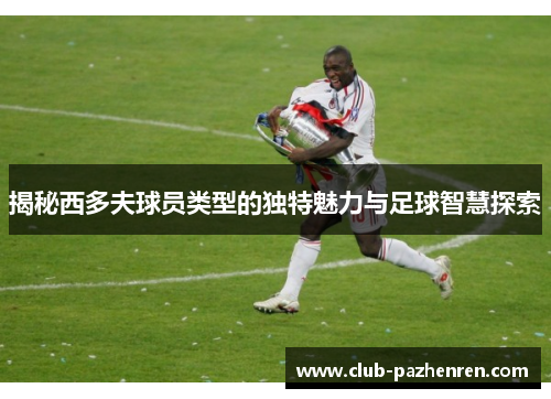 揭秘西多夫球员类型的独特魅力与足球智慧探索