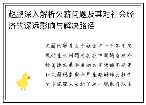 赵鹏深入解析欠薪问题及其对社会经济的深远影响与解决路径